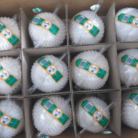 Fresh Young Coconut (Xiem/Lai) — 1