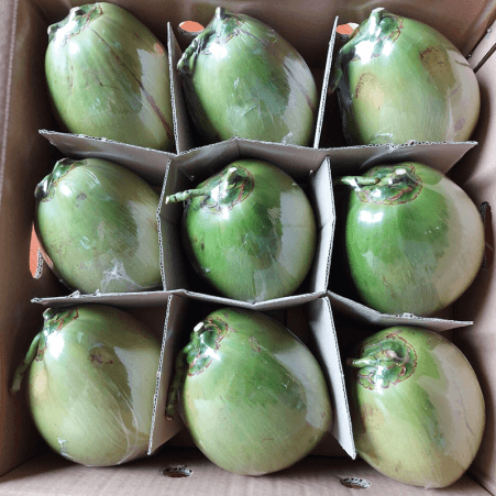 Fresh Young Coconut (Xiem/Lai) — 2