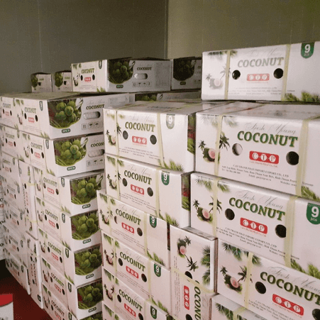 Fresh Young Coconut (Xiem/Lai) — 3