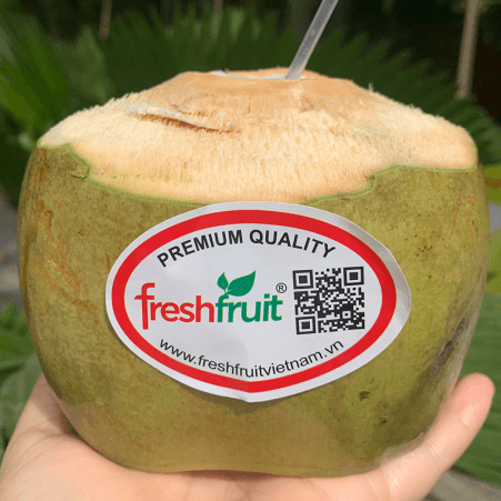Fresh Young Coconut (Xiem/Lai) — 6