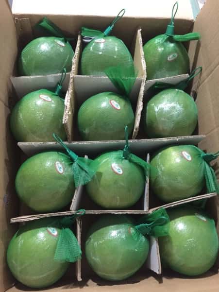 Pink Pomelo (Da Xanh/Nam ROi) — 1