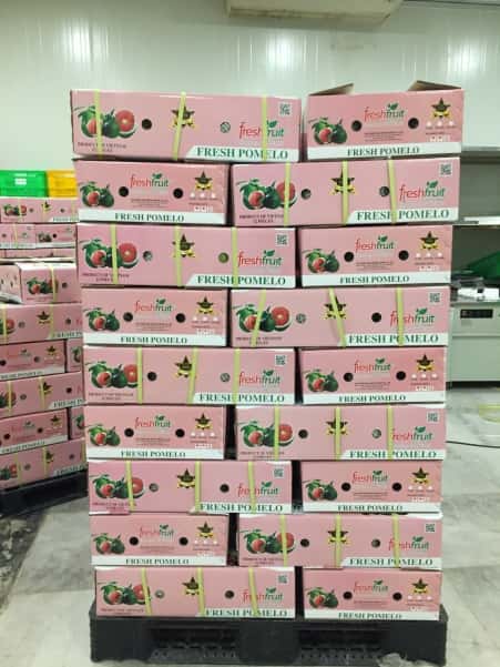 Pink Pomelo (Da Xanh/Nam ROi) — 4