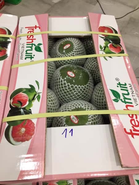 Pink Pomelo (Da Xanh/Nam ROi) — 5