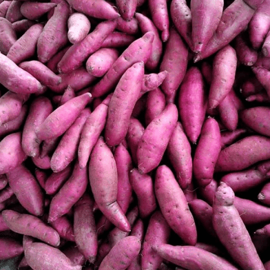 Fresh Vietnamese Sweet Potato — 1
