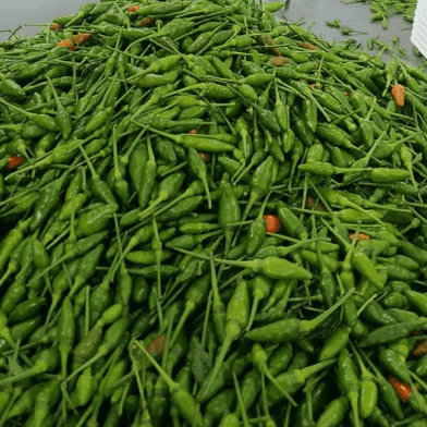 Red - Green Chilli — 2