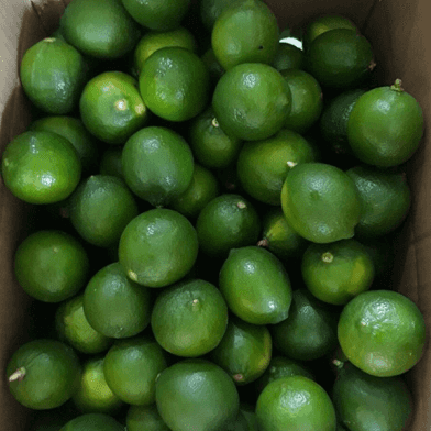 Fresh Vietnamese Seedless Lime — 2
