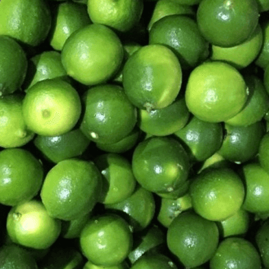 Fresh Vietnamese Seedless Lime — 3