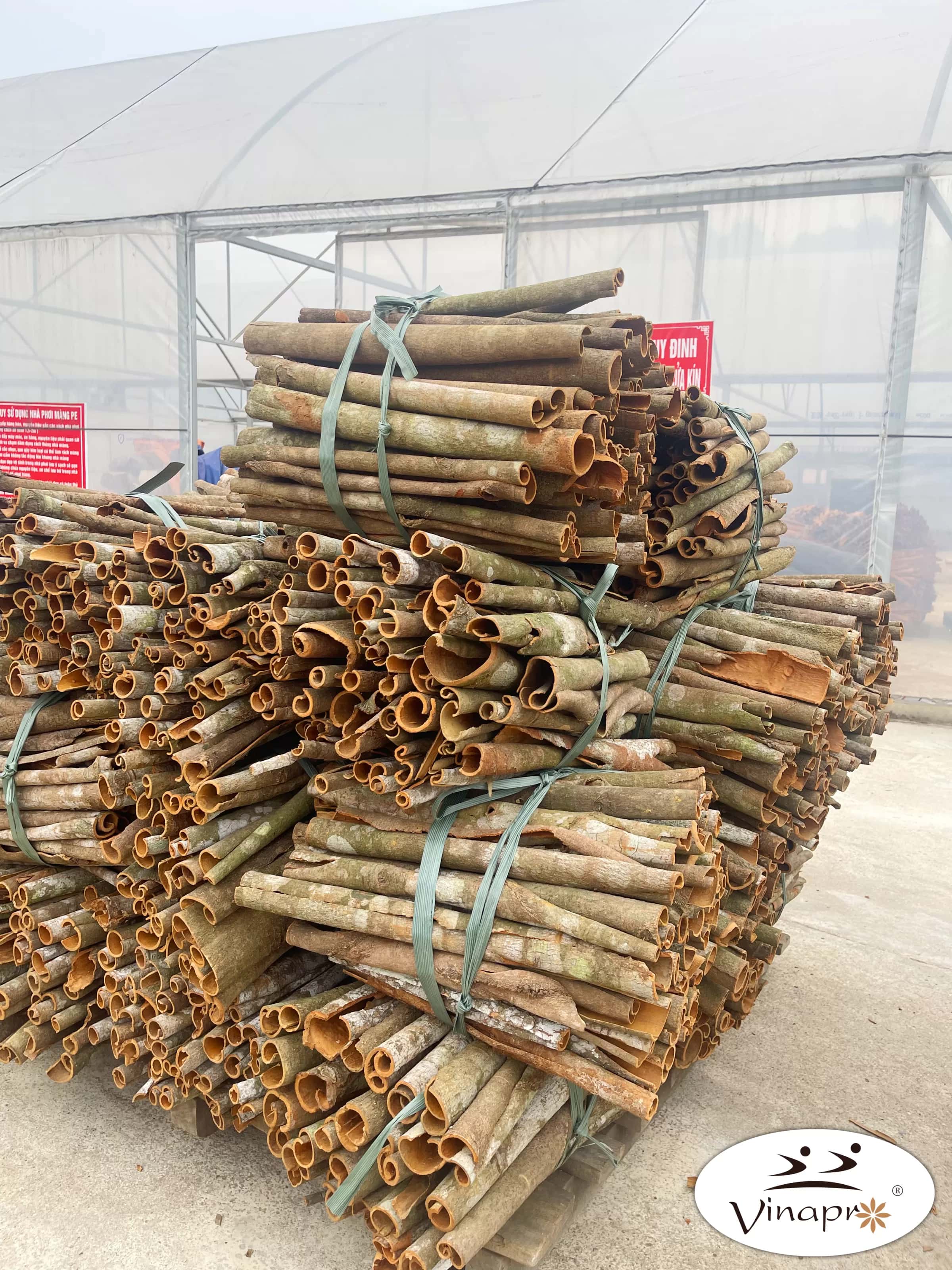 Whole Cassia Cinnamon — 4