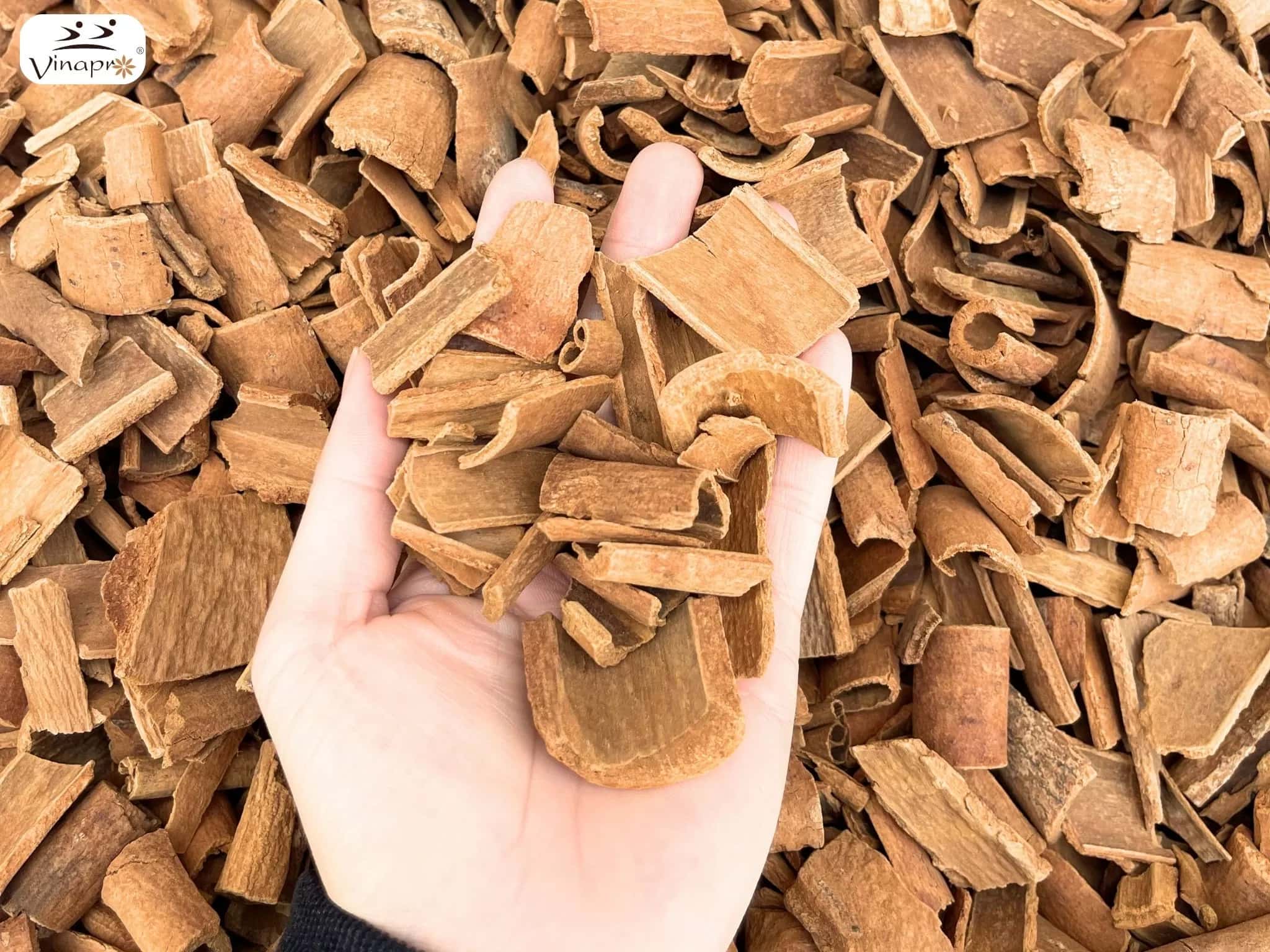 Square/ Round cut cassia ( YB1, YB2, YB3, YB4 ) — 2