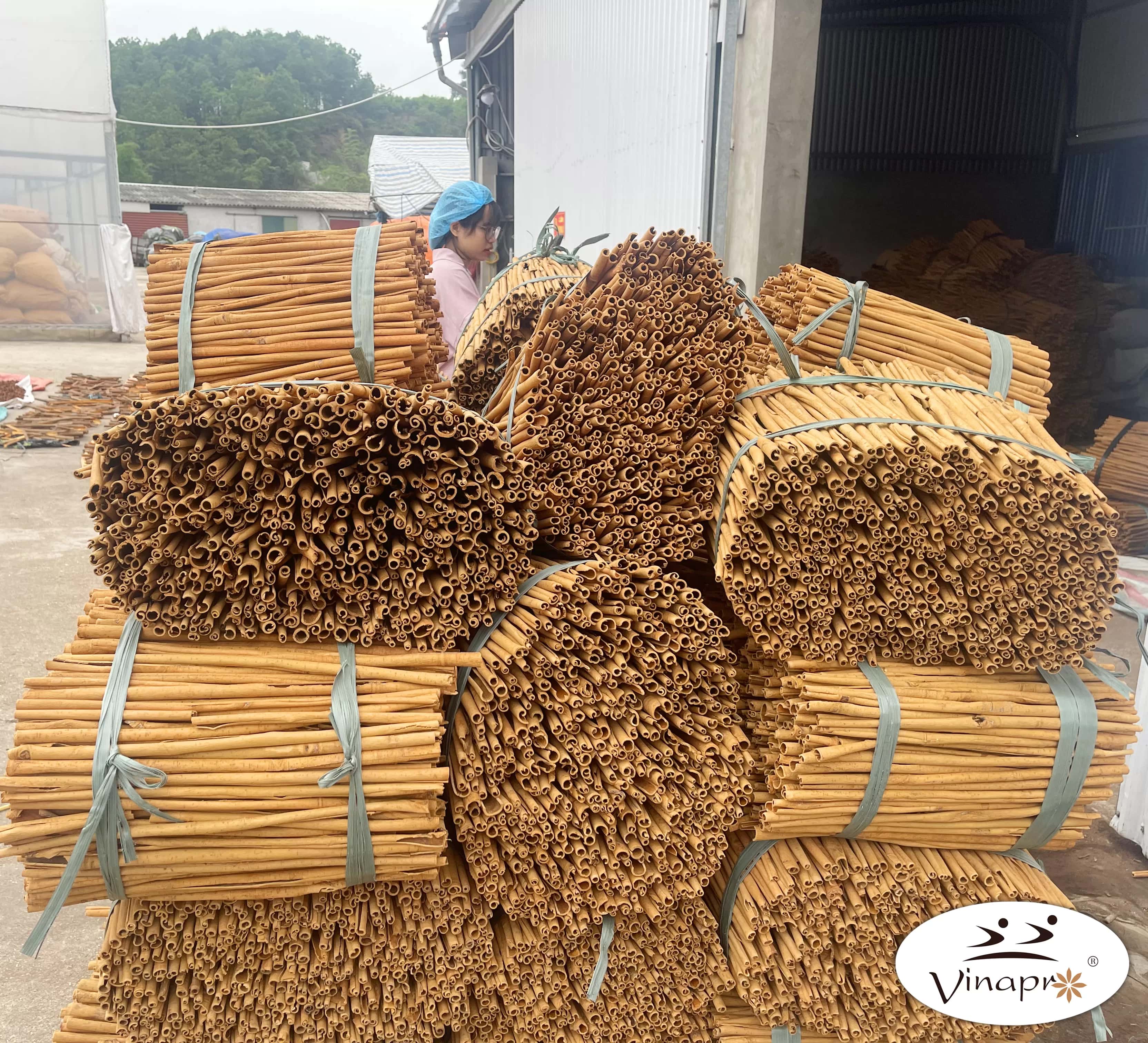 Cigarette/Stick cassia — 6