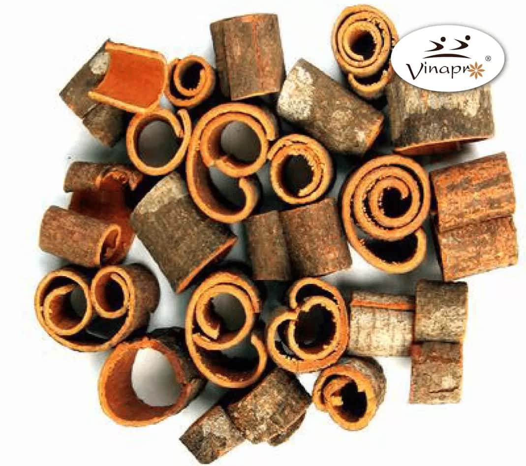 Square/ Round cut cassia ( YB1, YB2, YB3, YB4 ) — 5