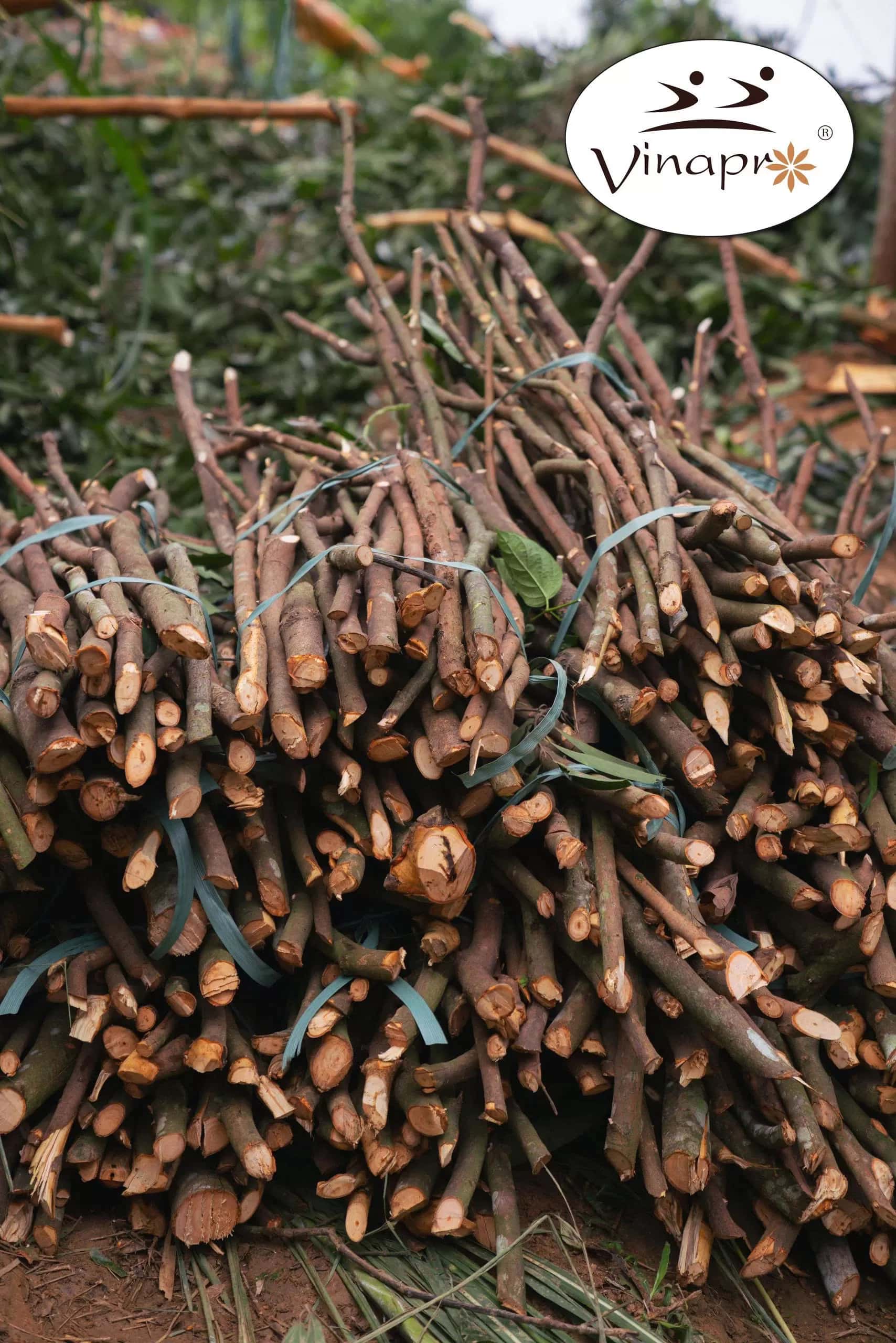 Pressed cassia — 5