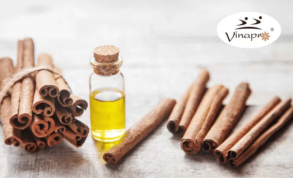 Cassia Oil — 3