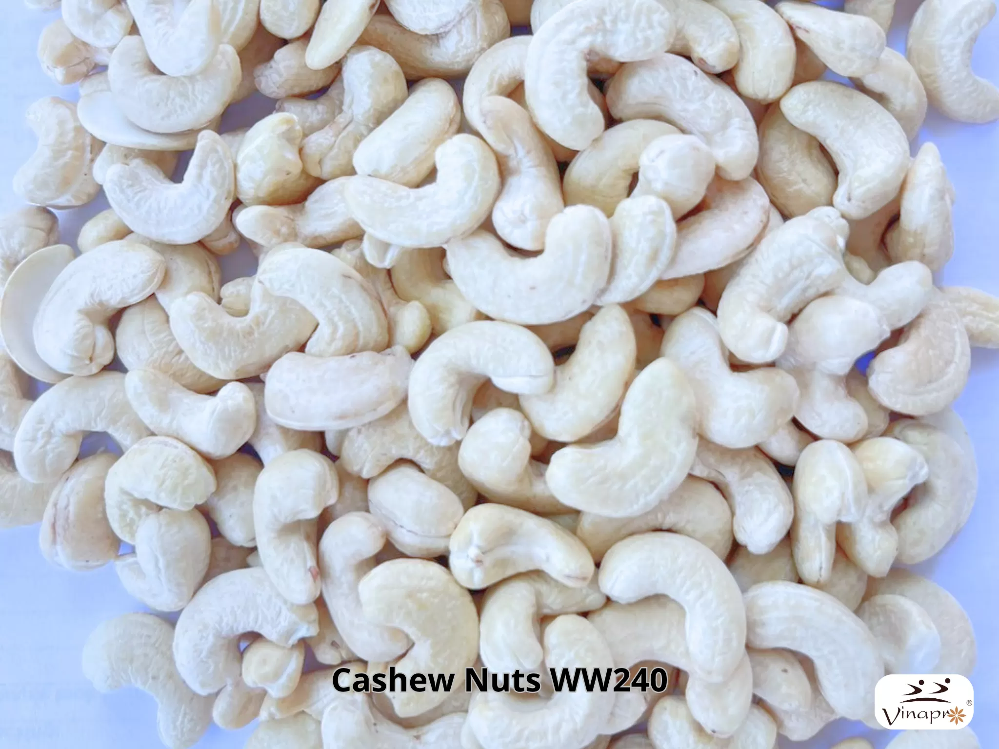 White Whole Cashew Nuts WW240, WW320, WW450 — 2