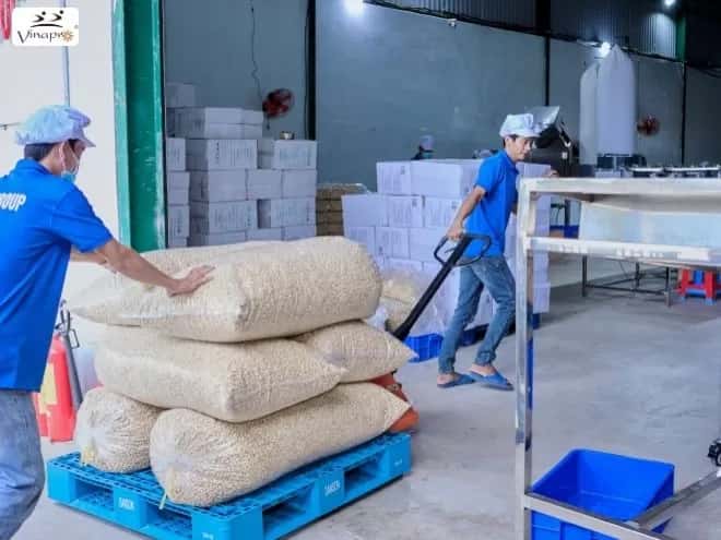 White Whole Cashew Nuts WW240, WW320, WW450 — 4