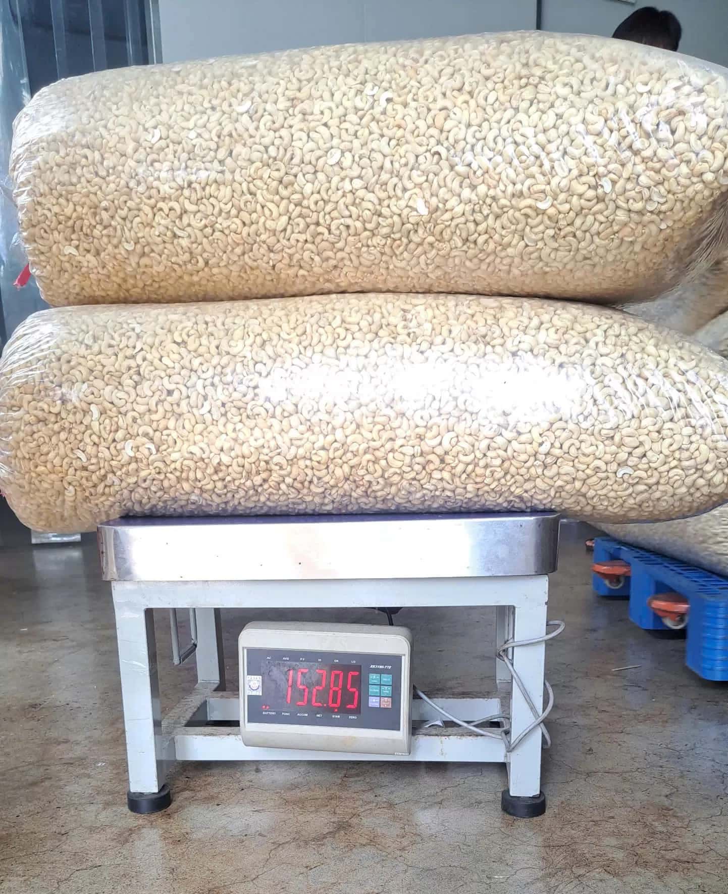 White Whole Cashew Nuts WW240, WW320, WW450 — 5