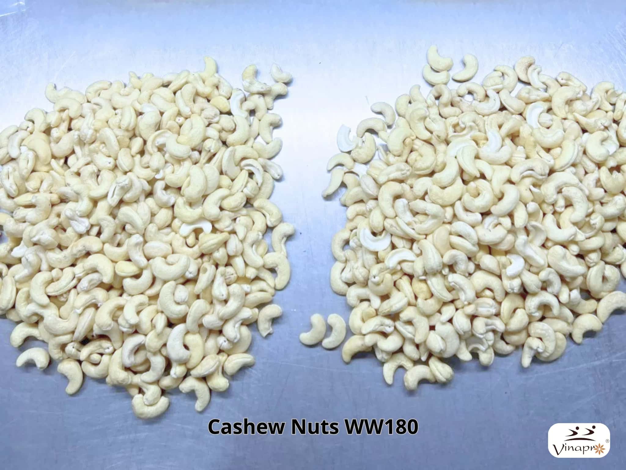 White Whole Cashew Nuts WW160, WW180, WW210 — 2