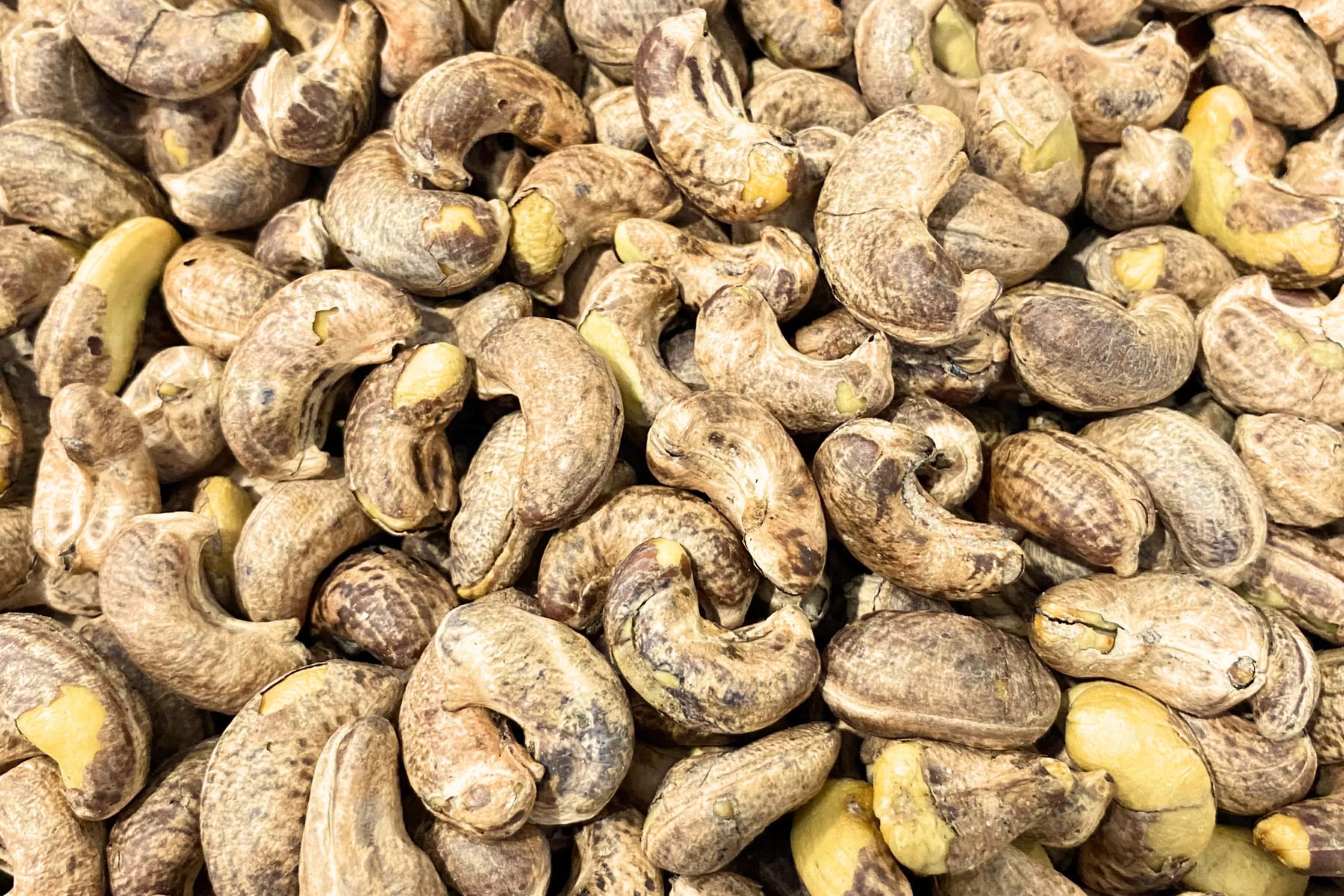 ROASTED CASHEW NUTS WITH SKIN — 2