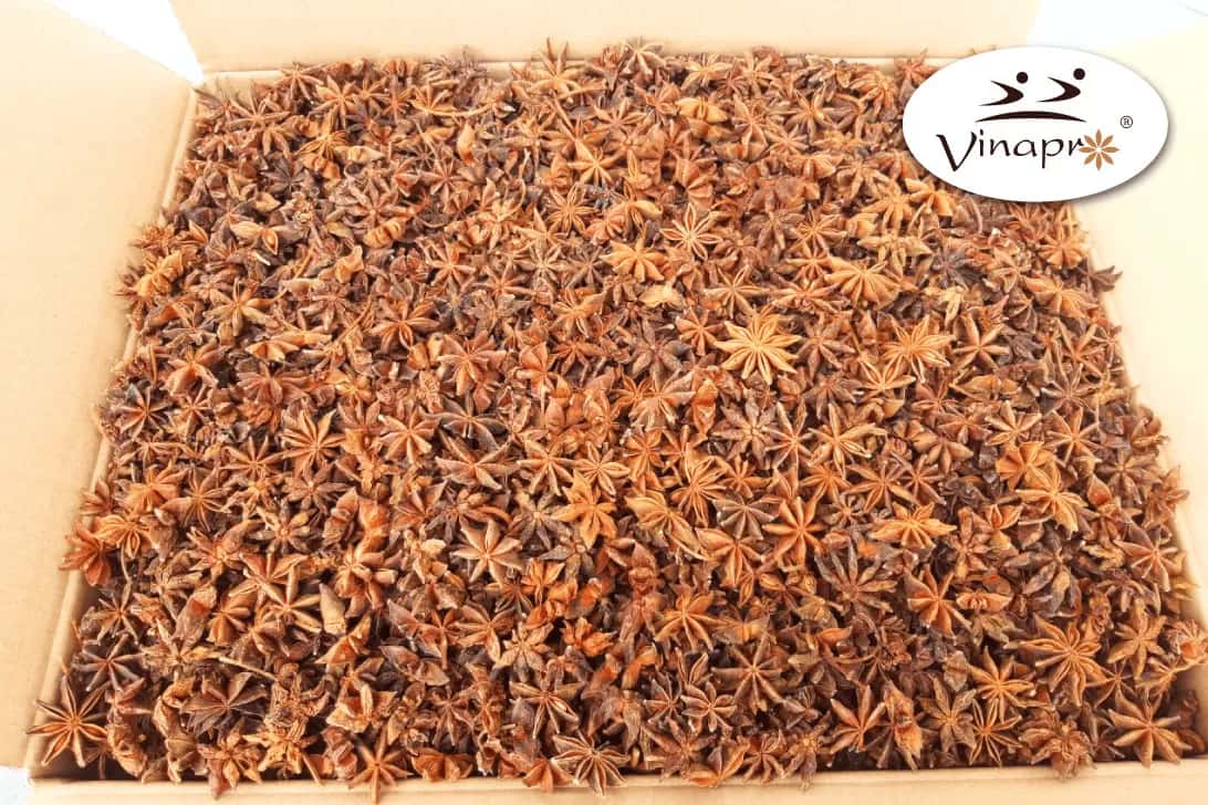 Spring/Autumn Star Aniseed — 2