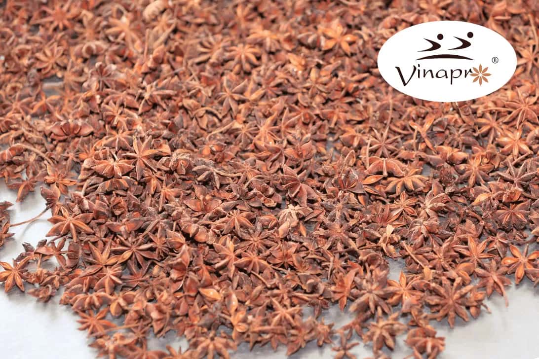Spring/Autumn Star Aniseed — 5