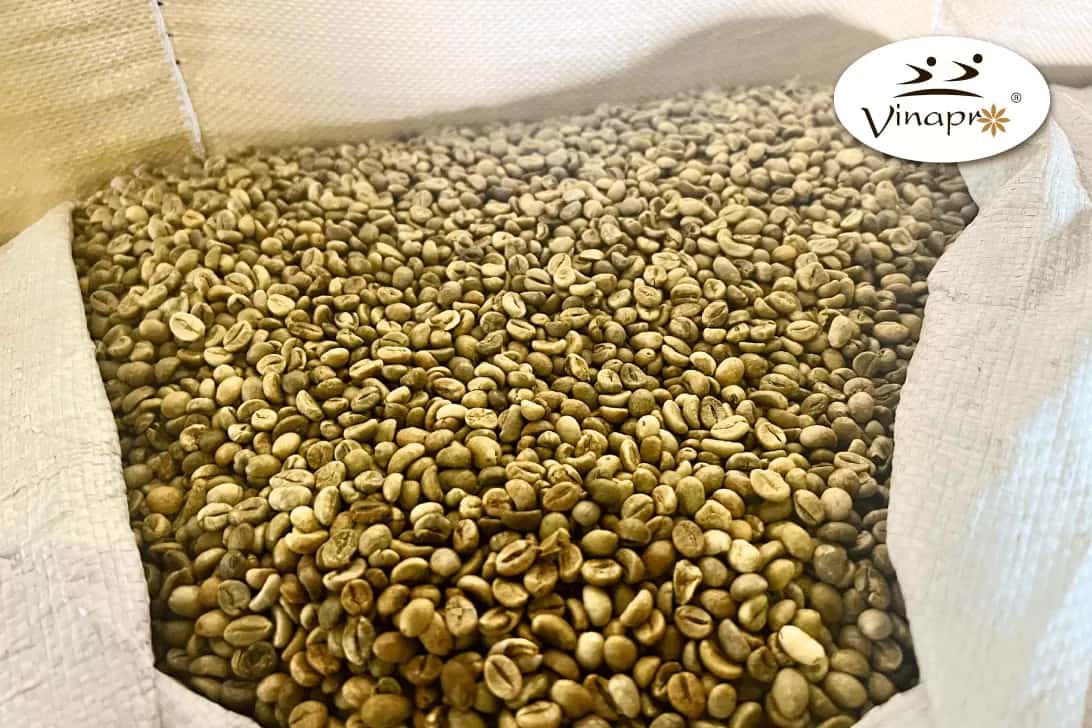 Unwashed Robusta Coffee S18/16/13 — 5
