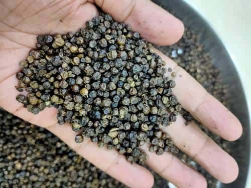 BLACK PEPPER LIGHT BERRY — 3