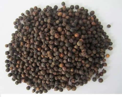 Black Pepper 550/570/580 GL FAQ — 1