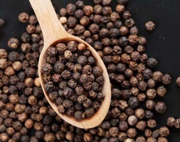 VIETNAM BLACK PEPPER STEAM STERLISED — 2