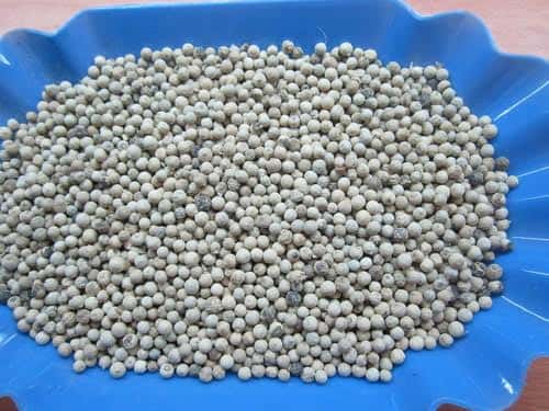 White Pepper 630 g/l — 2