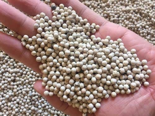 White Pepper 630 g/l — 3