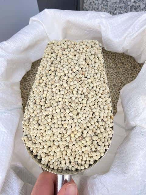 White Pepper 630 g/l — 1