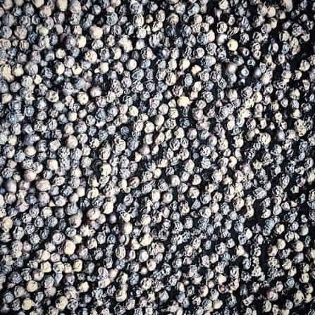 Black Pepper 5MM Bold Jumbo — 3
