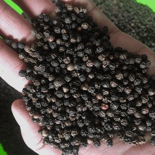 Black Pepper 5MM Bold Jumbo — 4