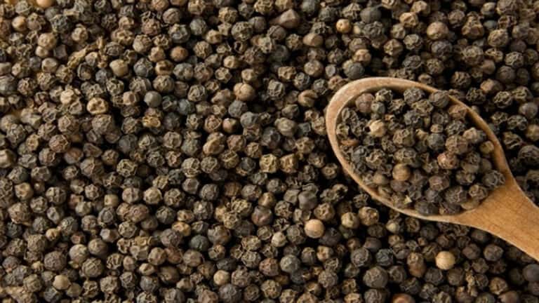 Black Pepper 5MM Bold Jumbo — 2