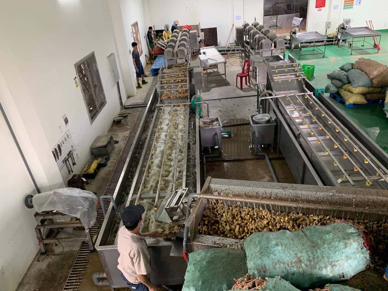 Dry Ginger — 3
