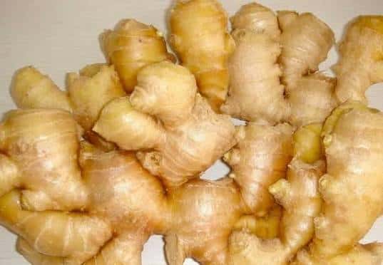 Fresh ginger — 5