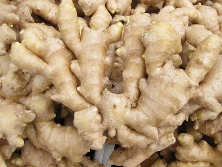 Fresh ginger — 1