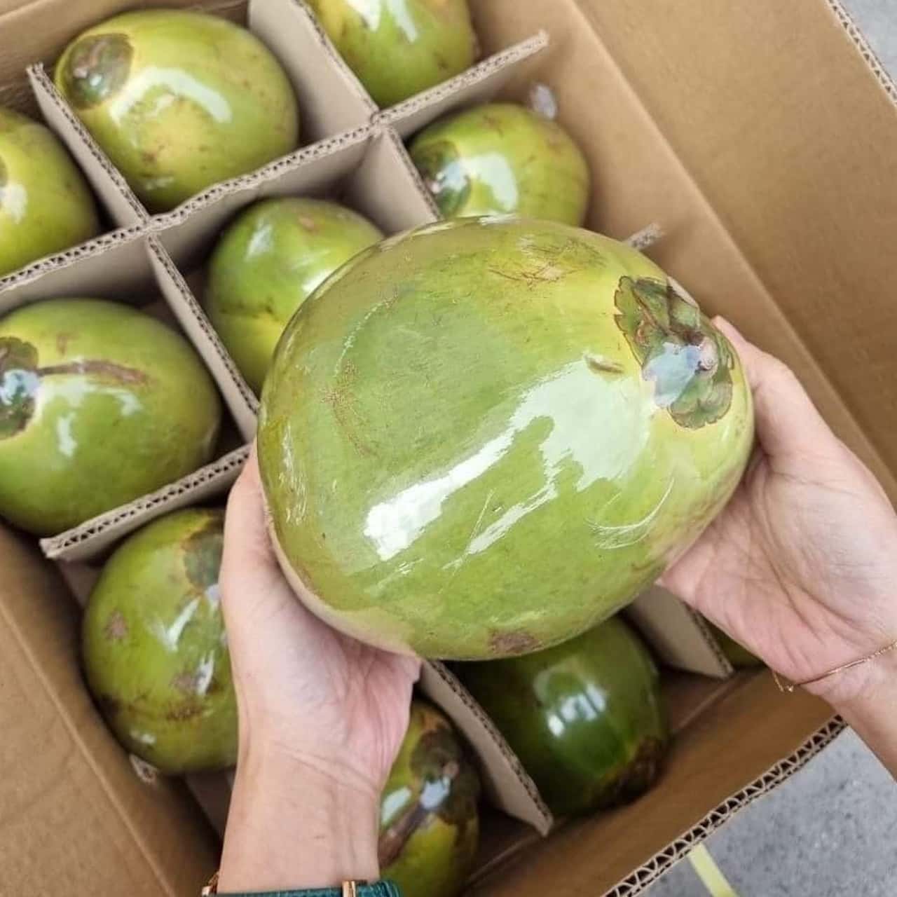Young Coconut — 1