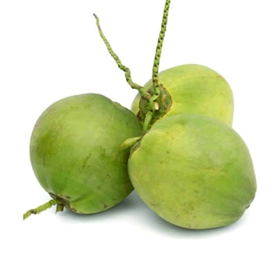 Young Coconut — 5