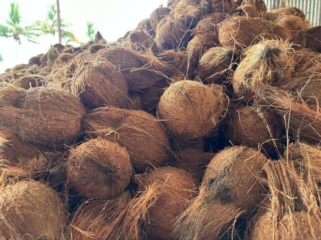 Dry coconut — 3