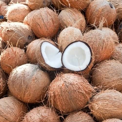 Dry coconut — 4