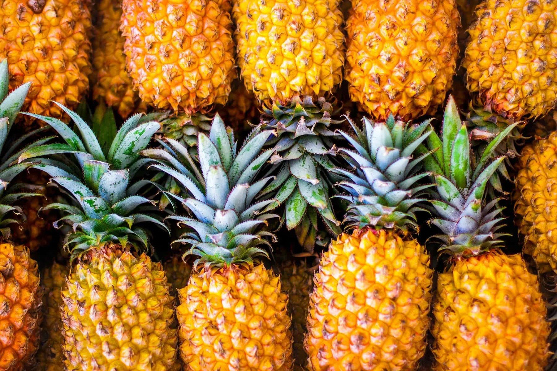 Pineapple — 3