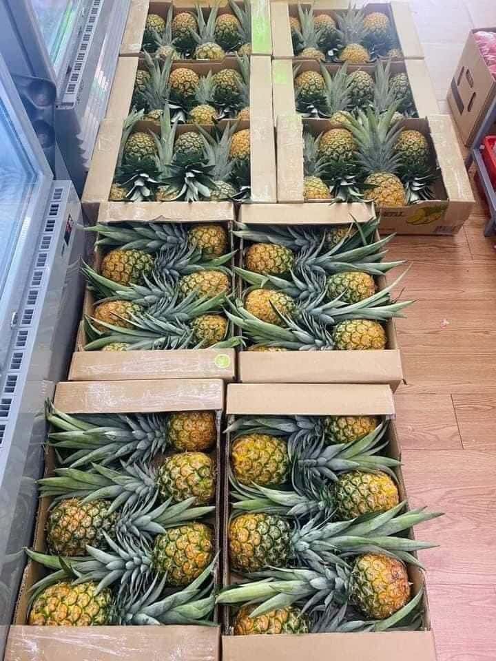 Pineapple — 4