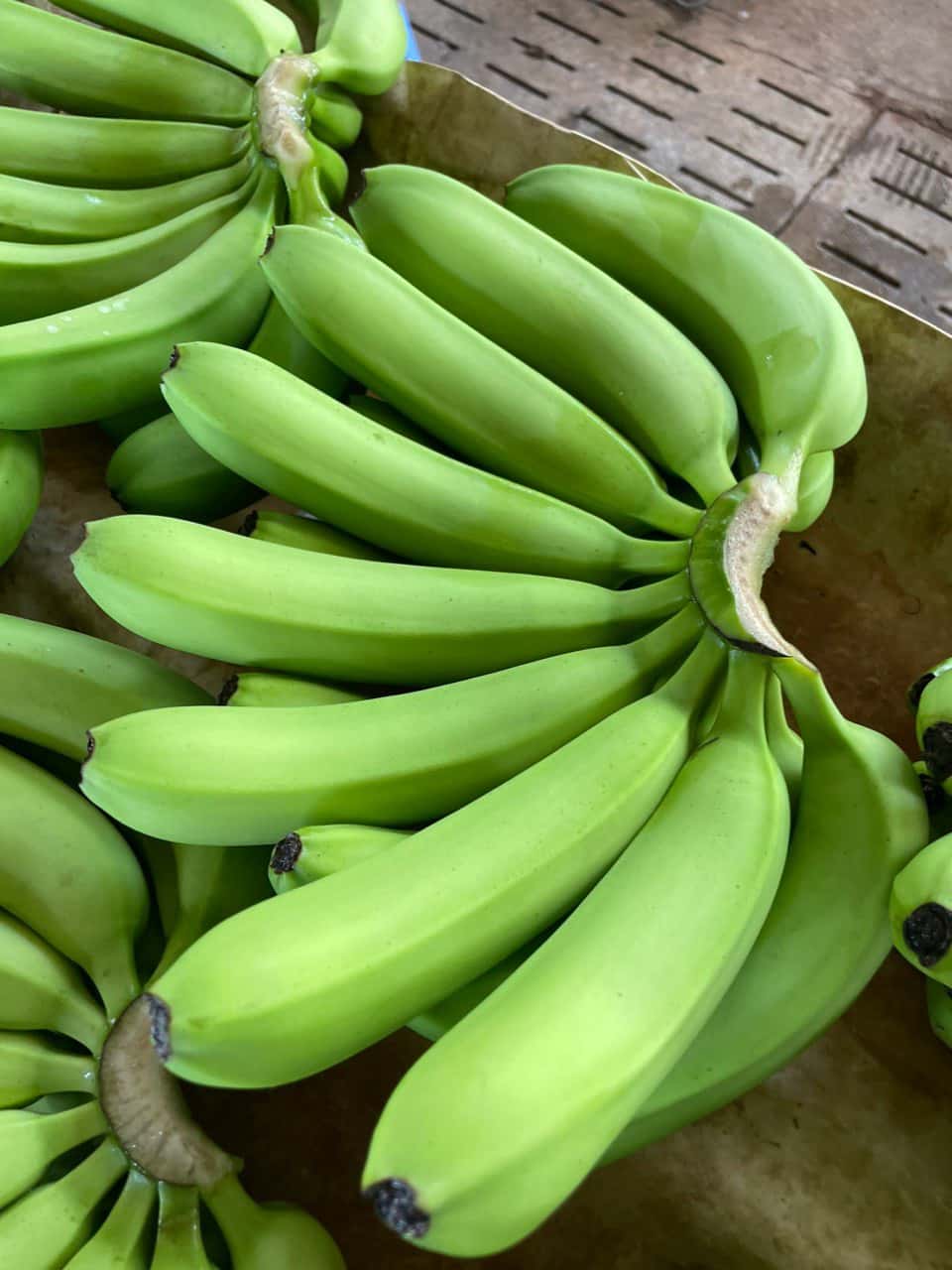Canvendish Banana — 4