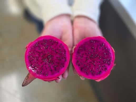 Dragon fruit — 5