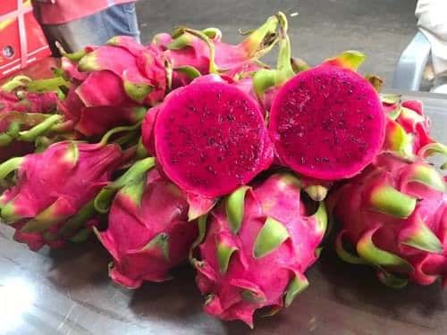 Red/White flesh dragon fruit — 4