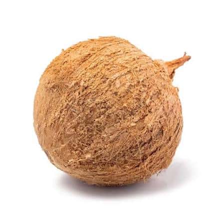 Mature Coconut — 3