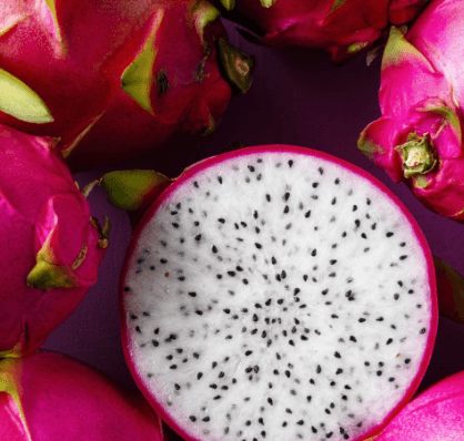 Dragon Fruit (Red/White Flesh) — 5