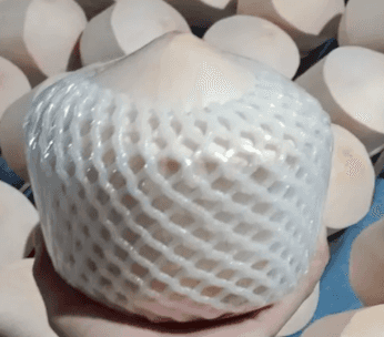 Diamond Coconut — 2