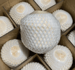Diamond Coconut — 3